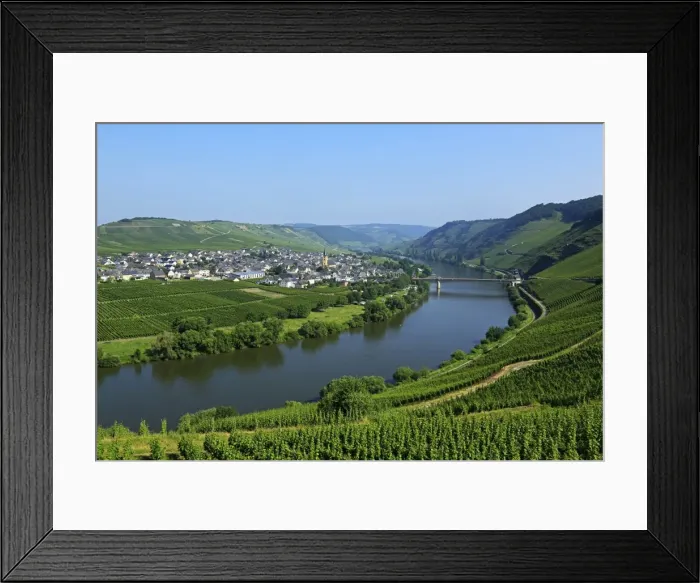 Framed Print : Vineyards near Trittenheim, Moselle Valley, Rhineland-Palatinate, Germany, Europe Framed Print : Vineyards near Trittenheim, Moselle Valley, Rhineland-Palatinate, Germany, Europe