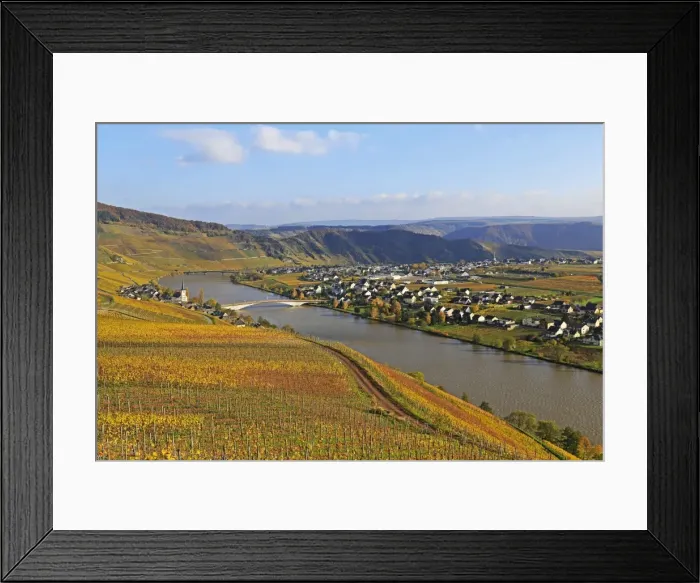 Framed Print : Vineyards near Piesport, Moselle Valley, Rhineland-Palatinate, Germany, Europe Framed Print : Vineyards near Piesport, Moselle Valley, Rhineland-Palatinate, Germany, Europe
