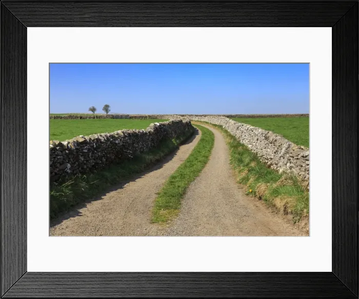 Framed Print : Track disappears into distance, between dry stone walls, a typical country scene Framed Print : Track disappears into distance, between dry stone walls, a typical country scene
