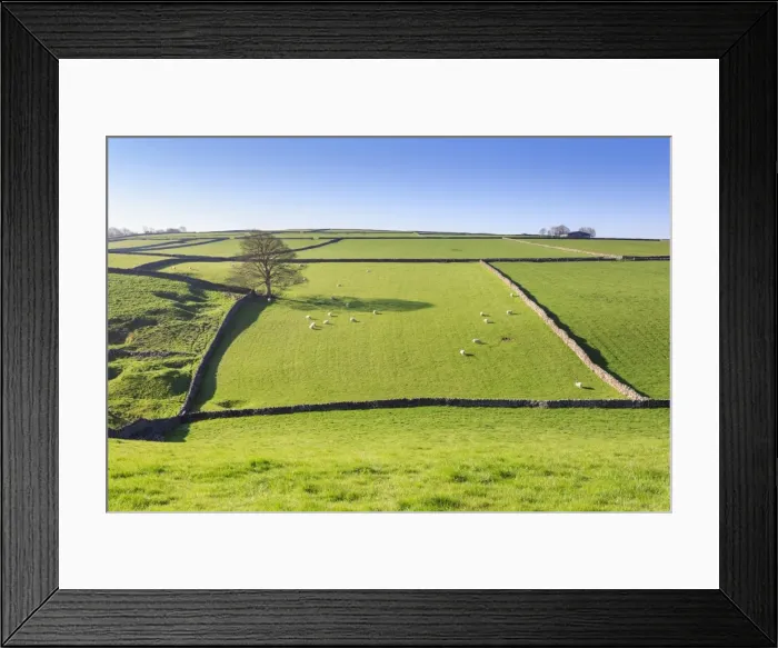 Framed Print : Sweeping landscape featuring dry stone wall in spring, Peak District National Park Framed Print : Sweeping landscape featuring dry stone wall in spring, Peak District National Park