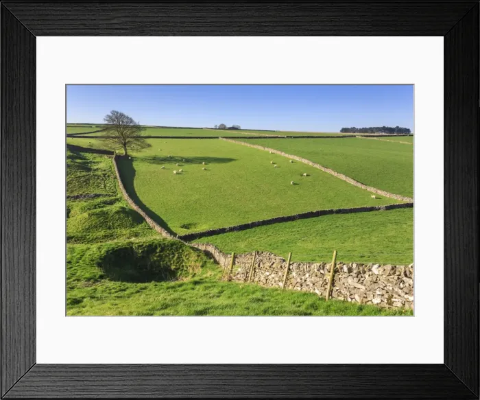 Framed Print : Sweeping landscape featuring dry stone walls in spring, Peak District National Park Framed Print : Sweeping landscape featuring dry stone walls in spring, Peak District National Park