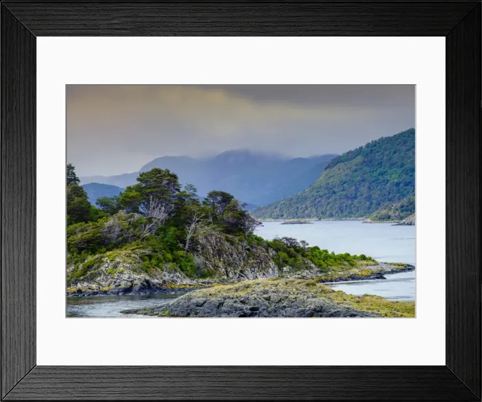 Framed Print : Southern deciduous Magellanic subpolar forest in Wulaia Bay, Isla Navarino, Murray Channel Framed Print : Southern deciduous Magellanic subpolar forest in Wulaia Bay, Isla Navarino, Murray Channel