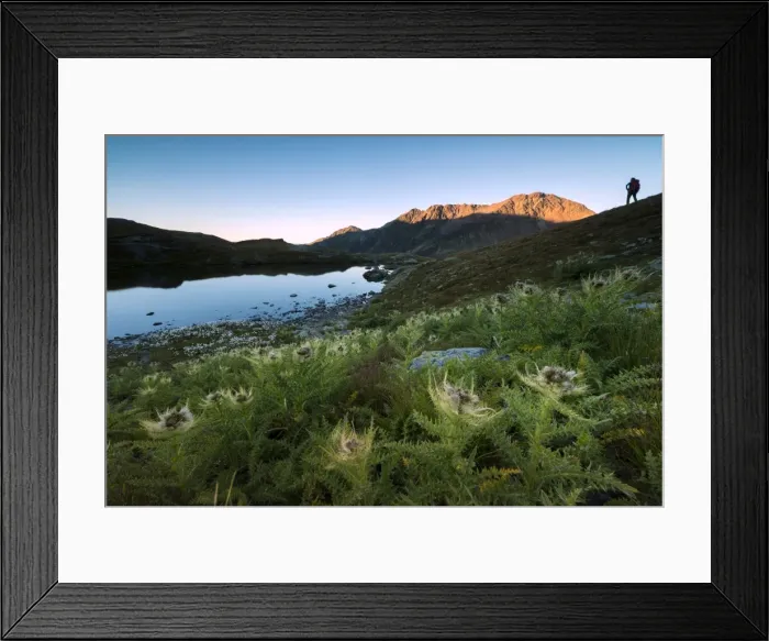 Framed Print : Hiker on the rocks admires the peaks reflected in Lake Umbrail at sunset, Stelvio Pass Framed Print : Hiker on the rocks admires the peaks reflected in Lake Umbrail at sunset, Stelvio Pass