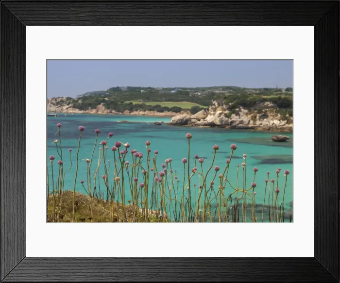Framed Print : Pink flowers of the inland frame the turquoise sea in summer, Sperone, Bonifacio Framed Print : Pink flowers of the inland frame the turquoise sea in summer, Sperone, Bonifacio