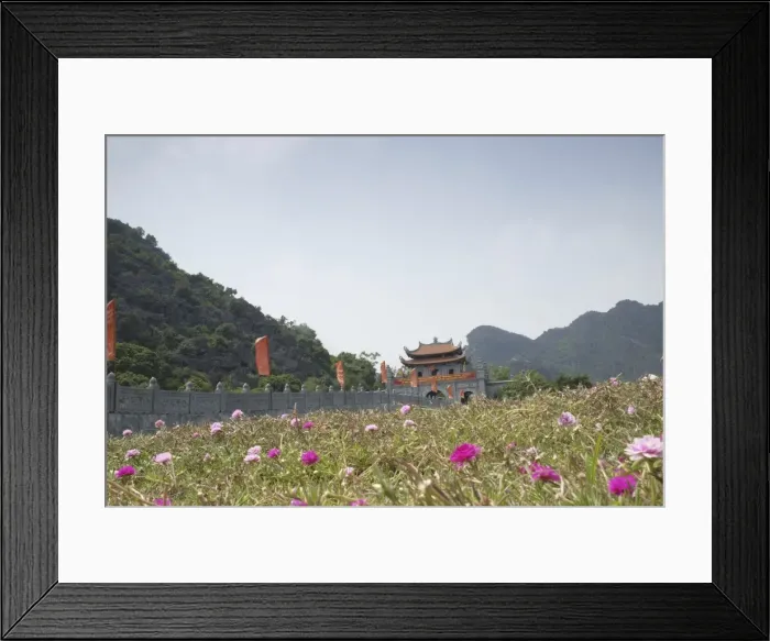 Framed Print : Meadow in front of Hoa Lu buildings at the old Vietnamese capital city, Hoa Lu, Vietnam Framed Print : Meadow in front of Hoa Lu buildings at the old Vietnamese capital city, Hoa Lu, Vietnam