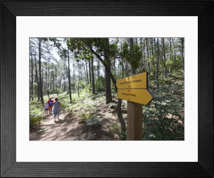 Framed Print : Hikers in the woods of the Nature Park of the L Ospedale mountain, Piscia Di Gallo Framed Print : Hikers in the woods of the Nature Park of the L Ospedale mountain, Piscia Di Gallo