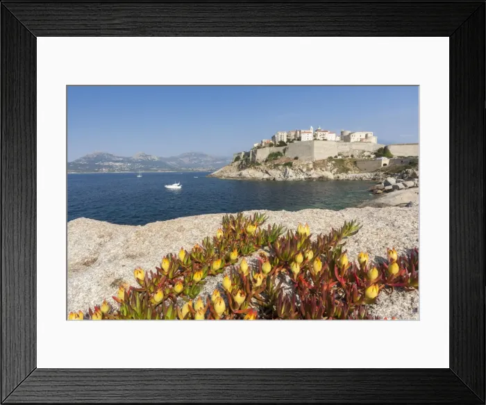Framed Print : Flowers on rocks frame the fortified citadel surrounded by the clear sea, Calvi, Balagne Region Framed Print : Flowers on rocks frame the fortified citadel surrounded by the clear sea, Calvi, Balagne Region
