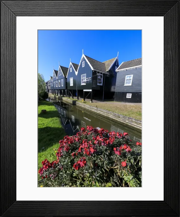Framed Print : Wooden houses reflected in the canal framed by flowers in the village of Marken, Waterland Framed Print : Wooden houses reflected in the canal framed by flowers in the village of Marken, Waterland