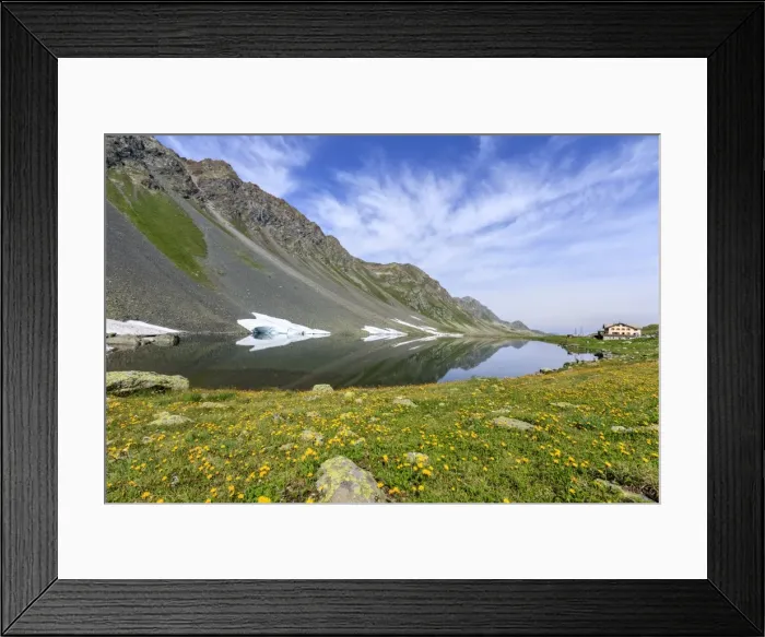 Framed Print : Yellow flowers frame the rocky peaks reflected in Lake Schottensee, Fluela Pass canton Framed Print : Yellow flowers frame the rocky peaks reflected in Lake Schottensee, Fluela Pass canton