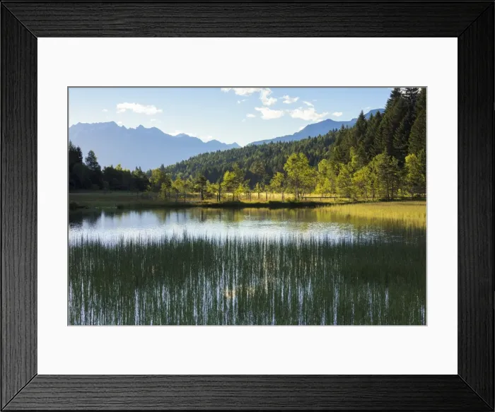 Framed Print : Dawn lights up the swamp of the Natural Reserve of Pian di Gembro, Aprica, province of Sondrio Framed Print : Dawn lights up the swamp of the Natural Reserve of Pian di Gembro, Aprica, province of Sondrio