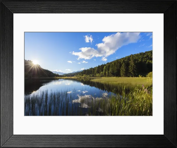 Framed Print : Dawn lights the swamp of the Natural Reserve of Pian di Gembro, Aprica, province of Sondrio Framed Print : Dawn lights the swamp of the Natural Reserve of Pian di Gembro, Aprica, province of Sondrio