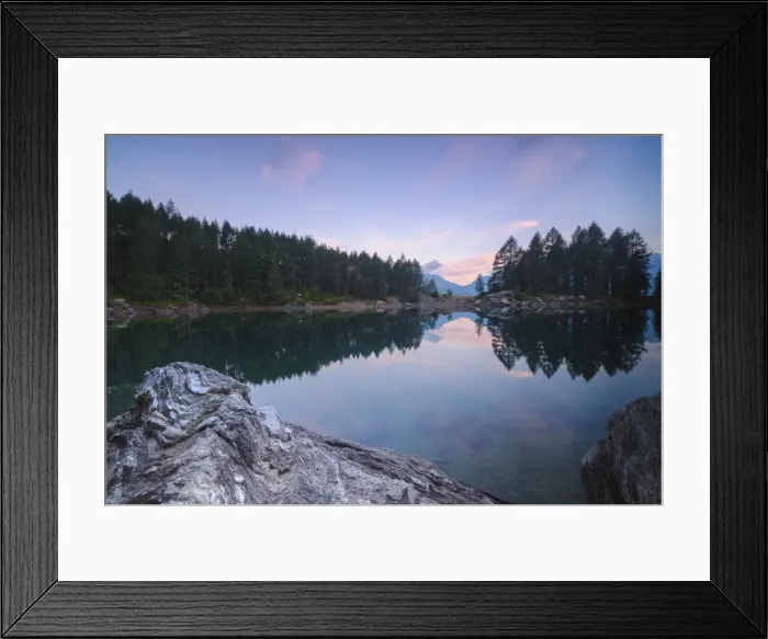 Framed Print : Trees reflected in Lago Azzurro under pink sky at dawn, Motta Madesimo, Spluga Valley Framed Print : Trees reflected in Lago Azzurro under pink sky at dawn, Motta Madesimo, Spluga Valley