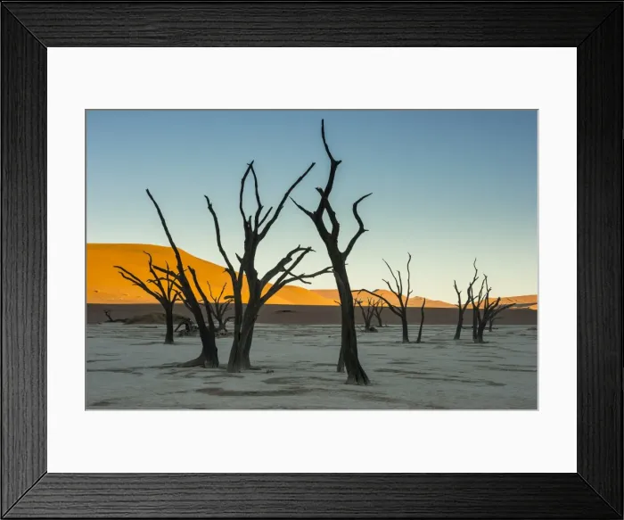 Framed Print : Deadvlei, an old dry lake in the Namib desert, Namibia, Africa Framed Print : Deadvlei, an old dry lake in the Namib desert, Namibia, Africa