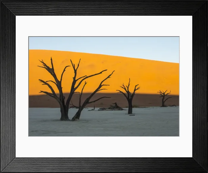 Framed Print : Deadvlei, an old dry lake in the Namib desert, Namibia, Africa Framed Print : Deadvlei, an old dry lake in the Namib desert, Namibia, Africa