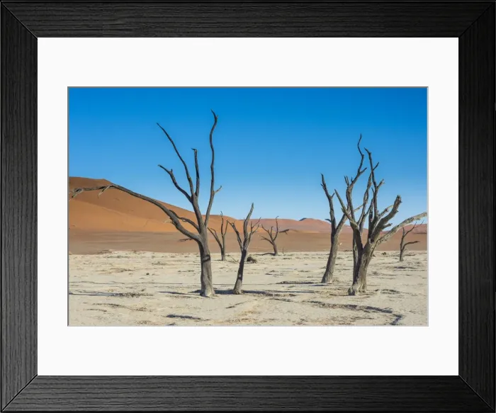 Framed Print : Deadvlei, an old dry lake in the Namib desert, Namibia, Africa Framed Print : Deadvlei, an old dry lake in the Namib desert, Namibia, Africa