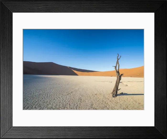 Framed Print : Deadvlei, an old dry lake in the Namib desert, Namibia, Africa Framed Print : Deadvlei, an old dry lake in the Namib desert, Namibia, Africa