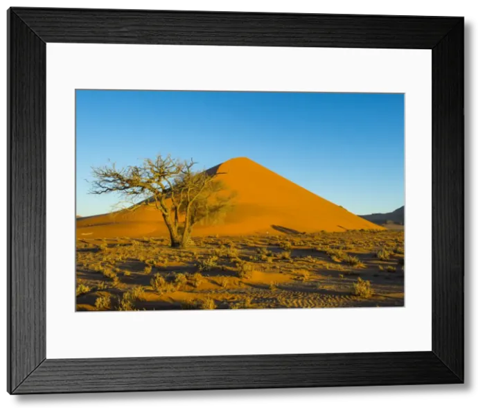 Framed Print : Giant Sand Dune 45, Sossusvlei, Namib-Naukluft National Park, Namibia, Africa Framed Print : Giant Sand Dune 45, Sossusvlei, Namib-Naukluft National Park, Namibia, Africa