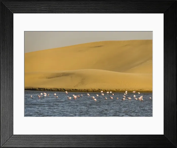 Framed Print : Saltwater pool with flamingos near Walvis Bay, Namibia, Africa Framed Print : Saltwater pool with flamingos near Walvis Bay, Namibia, Africa