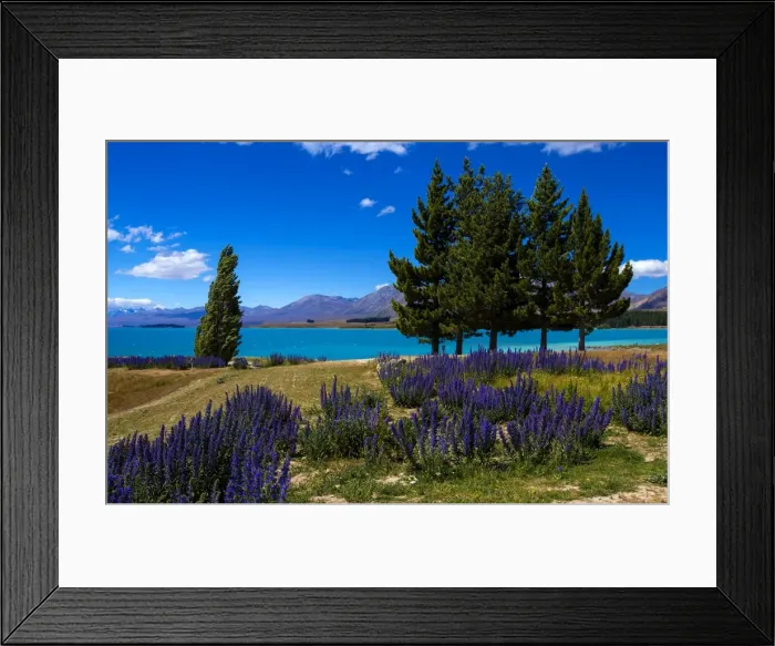 Framed Print : Lake Tekapo, Mackenzie Country, Canterbury, South Island, New Zealand, Pacific Framed Print : Lake Tekapo, Mackenzie Country, Canterbury, South Island, New Zealand, Pacific