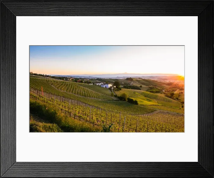 Framed Print : Vineyards in the Piedmont region of northern Italy, Europe Framed Print : Vineyards in the Piedmont region of northern Italy, Europe