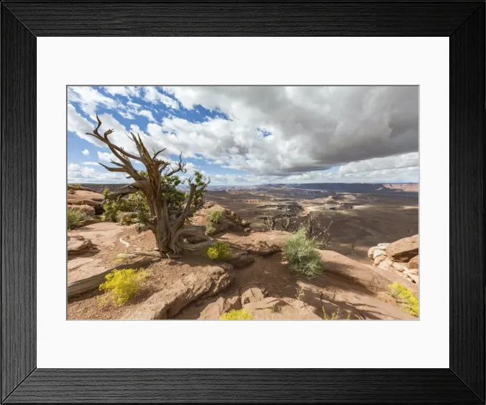 Framed Print : Desert landscape, Canyonlands National Park, Moab, Utah, United States of America Framed Print : Desert landscape, Canyonlands National Park, Moab, Utah, United States of America