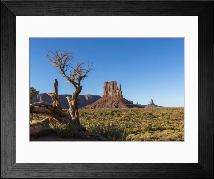 Framed Print : Rock formations and tree, Monument Valley, Navajo Tribal Park, Arizona, United States of America Framed Print : Rock formations and tree, Monument Valley, Navajo Tribal Park, Arizona, United States of America