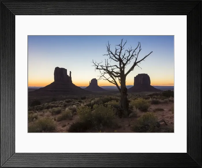 Framed Print : Tree and bushes before sunrise. Monument Valley, Navajo Tribal Park, Arizona, United Framed Print : Tree and bushes before sunrise. Monument Valley, Navajo Tribal Park, Arizona, United