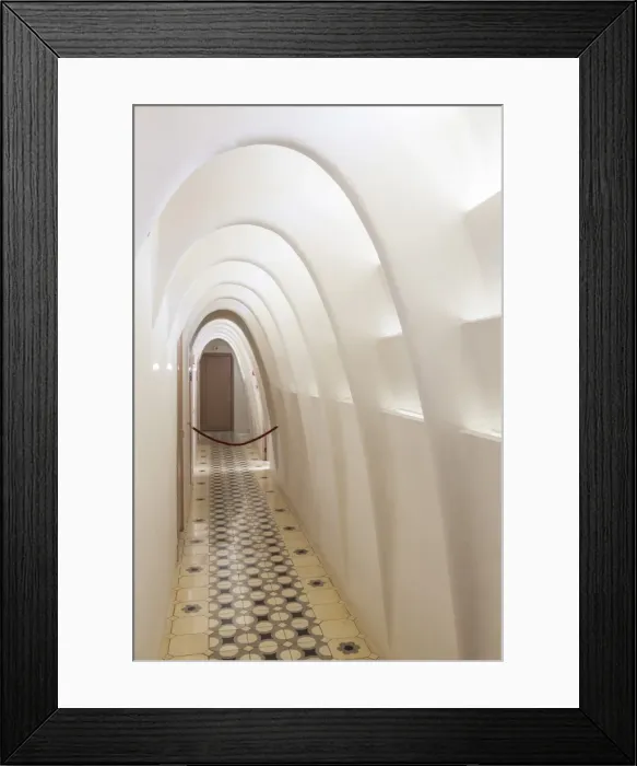 Framed Print : Inside corridor of Casa Batllo, a modernist building by Antoni Gaudi, UNESCO World Heritage Site Framed Print : Inside corridor of Casa Batllo, a modernist building by Antoni Gaudi, UNESCO World Heritage Site