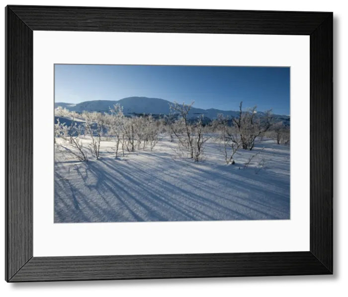 Framed Print : A frozen landscape near Kiruna, Sweden, Scandinavia, Europe Framed Print : A frozen landscape near Kiruna, Sweden, Scandinavia, Europe