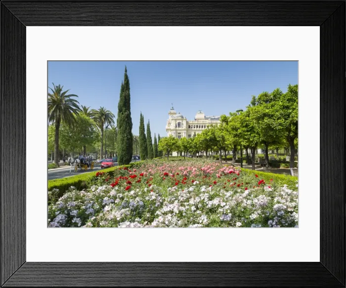 Framed Print : View of Jardines de Pedro Luis Alonso and Town Hall Palace (Ayuntamiento), Malaga Framed Print : View of Jardines de Pedro Luis Alonso and Town Hall Palace (Ayuntamiento), Malaga