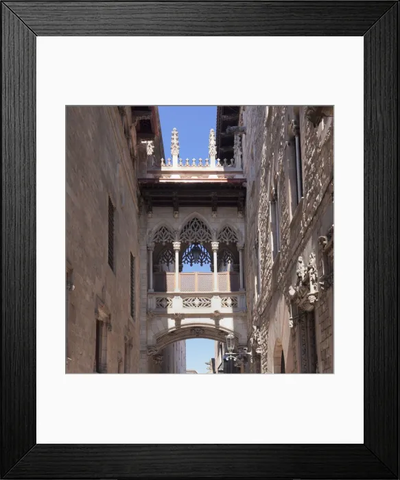 Framed Print : Pont del Bispe Bridge over Carrer del Bispe street, Palau de la Generalitat, Barri Gotic Framed Print : Pont del Bispe Bridge over Carrer del Bispe street, Palau de la Generalitat, Barri Gotic