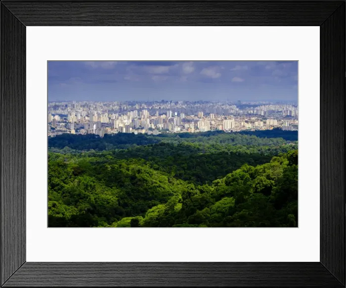 Framed Print : Central Sao Paulo from the rainforest of the Serra da Cantareira State Park, Brazil Framed Print : Central Sao Paulo from the rainforest of the Serra da Cantareira State Park, Brazil
