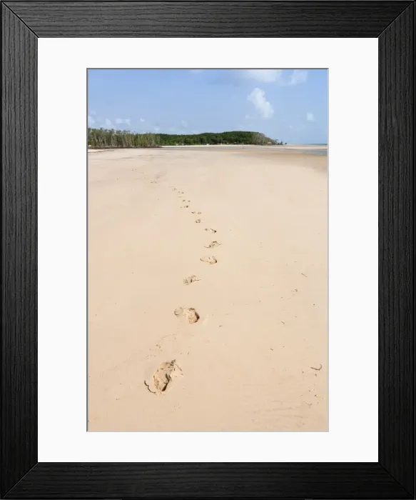 Framed Print : Beach on Marano Island in the Brazilian Amazon, Brazil, South America