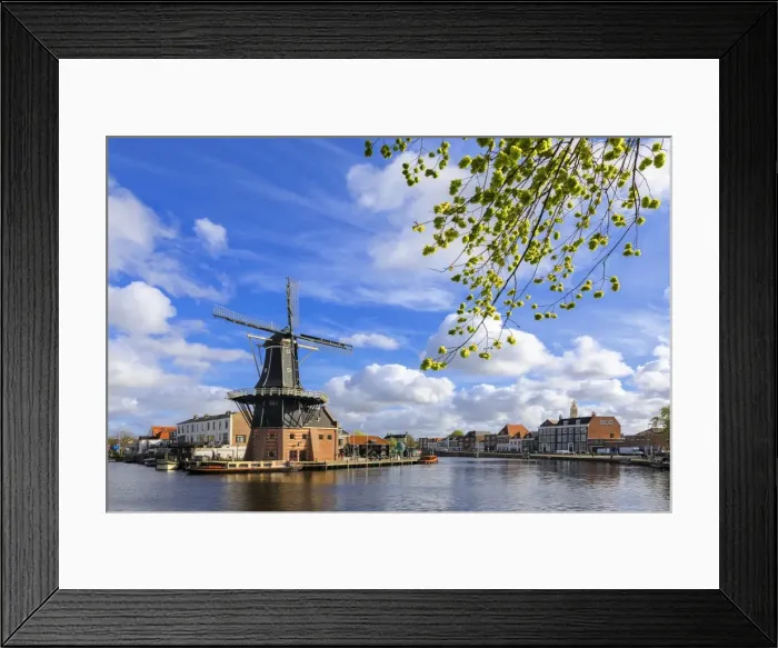 Framed Print : Tree branches frame the Windmill De Adriaan reflected in a canal of the River Spaarne Framed Print : Tree branches frame the Windmill De Adriaan reflected in a canal of the River Spaarne