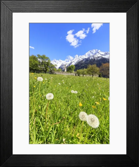 Framed Print : Green meadows frame the church of Soglio in spring, Maloja, Bregaglia Valley, Engadine Framed Print : Green meadows frame the church of Soglio in spring, Maloja, Bregaglia Valley, Engadine