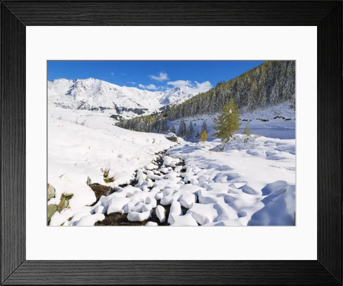 Framed Print : Aerial view of larches and mountains covered with snow in autumn, Vamlera, Spluga Valley Framed Print : Aerial view of larches and mountains covered with snow in autumn, Vamlera, Spluga Valley