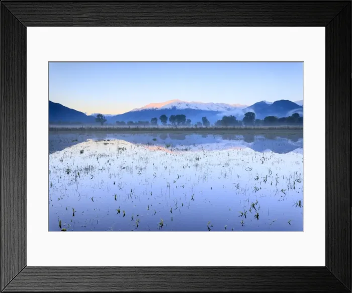 Framed Print : Pink sky at dawn on the snowy peaks of Monti Lariani reflected in flooded land, Pian di Spagna Framed Print : Pink sky at dawn on the snowy peaks of Monti Lariani reflected in flooded land, Pian di Spagna