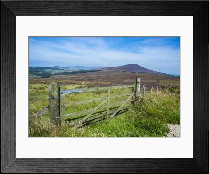 Framed Print : Pasture in the interior of the Isle of Man, crown dependency of the United Kingdom Framed Print : Pasture in the interior of the Isle of Man, crown dependency of the United Kingdom