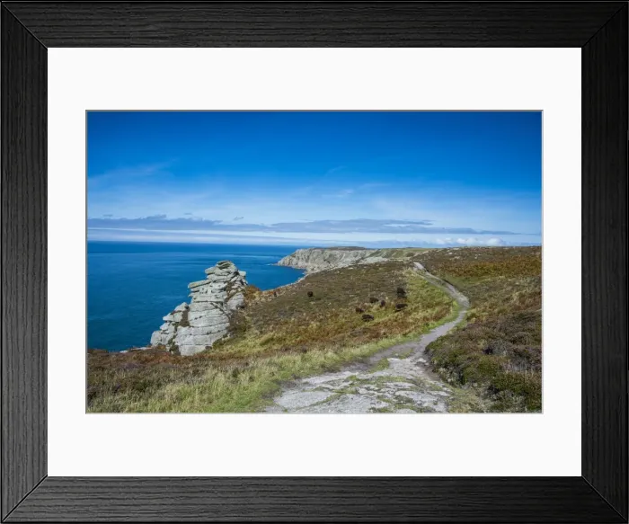 Framed Print : Island of Lundy, Bristol Channel, Devon, England, United Kingdom, Europe Framed Print : Island of Lundy, Bristol Channel, Devon, England, United Kingdom, Europe