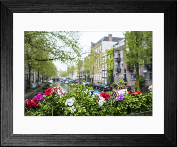 Framed Print : Jordaan district, Amsterdam, Netherlands, Europe Framed Print : Jordaan district, Amsterdam, Netherlands, Europe