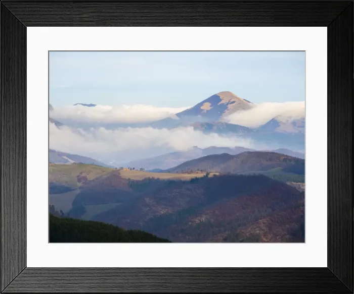 Framed Print : Forest in winter, Gubbio, Umbria, Italy, Europe Framed Print : Forest in winter, Gubbio, Umbria, Italy, Europe