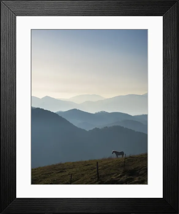 Framed Print : Horse at sunrise, Apennines, Umbria, Italy, Europe Framed Print : Horse at sunrise, Apennines, Umbria, Italy, Europe