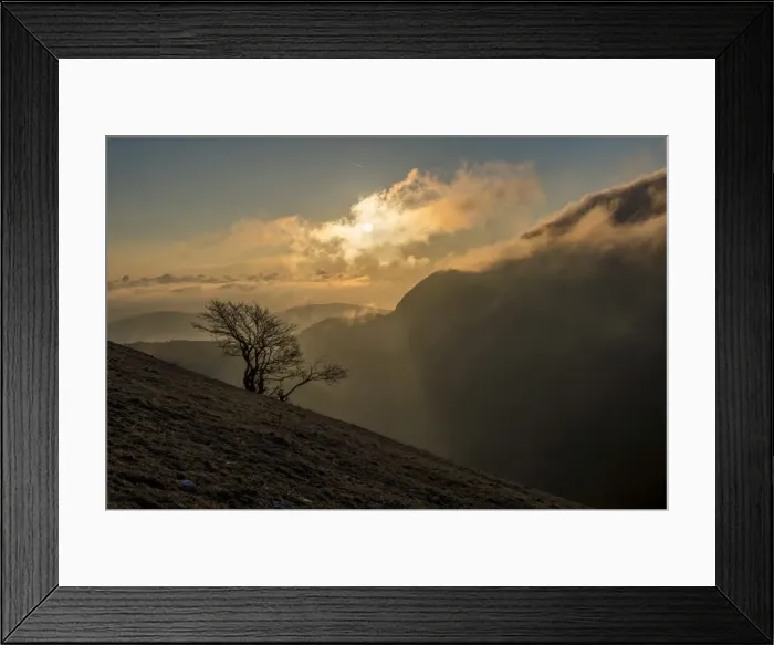 Framed Print : Sunrise on a lonely tree on mountain Motette, Apennines, Umbria, Italy, Europe Framed Print : Sunrise on a lonely tree on mountain Motette, Apennines, Umbria, Italy, Europe