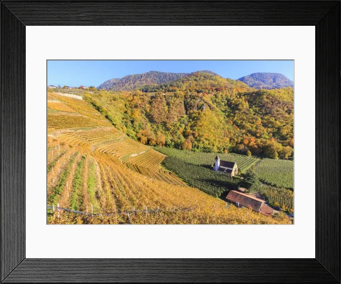 Framed Print : View of St. Valentin church surrounded by autumn colors, Merano, Val Venosta, Alto Adige-Sudtirol Framed Print : View of St. Valentin church surrounded by autumn colors, Merano, Val Venosta, Alto Adige-Sudtirol
