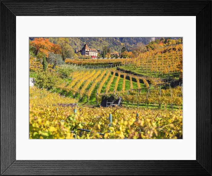 Framed Print : Labers Castle set in the middle of vineyards, Castel Labers, Merano, Val Venosta Framed Print : Labers Castle set in the middle of vineyards, Castel Labers, Merano, Val Venosta