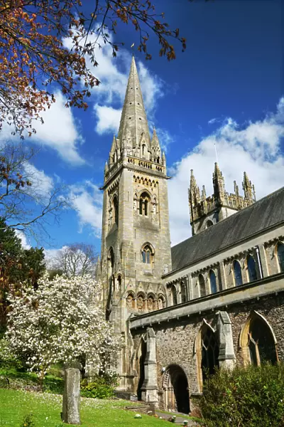 Llandaff Cathedral, Cardiff, Wales, United Kingdom, Europe