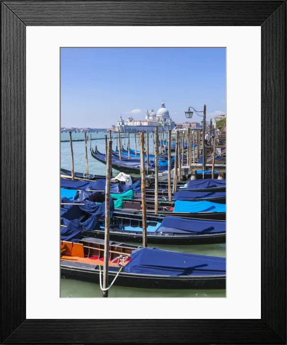 Framed Print : Gondolas moored in the Bacino di San Marco (St. Marks Basin), waterfront, Venice Framed Print : Gondolas moored in the Bacino di San Marco (St. Marks Basin), waterfront, Venice