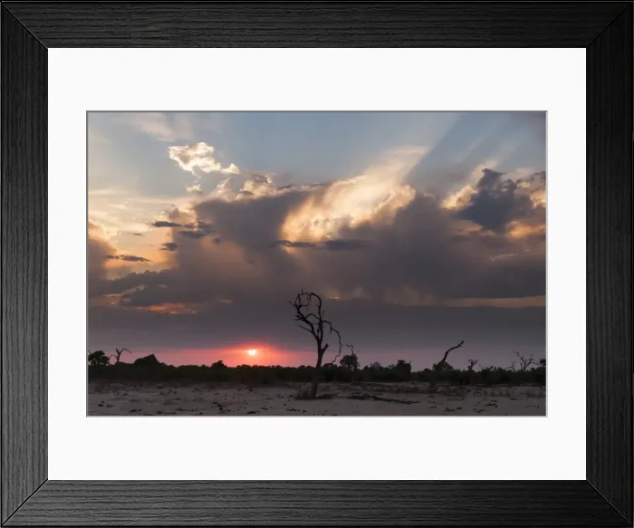 Framed Print : Savuti Marsh at sunset, Botswana, Africa Framed Print : Savuti Marsh at sunset, Botswana, Africa