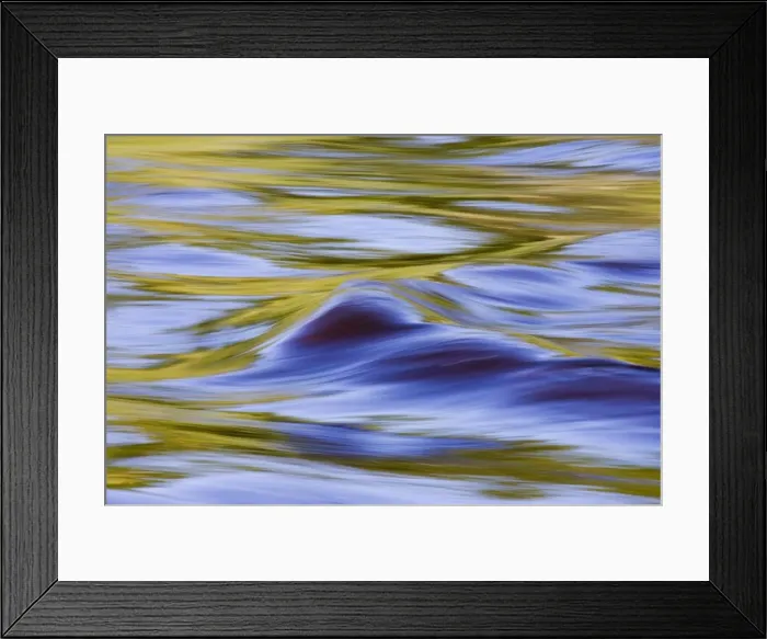 Framed Print : Golden ripples in the Kettle River Framed Print : Golden ripples in the Kettle River