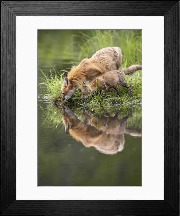 Framed Print : 27451_work Framed Print : 27451_work